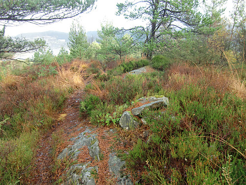 Hamresåta med rester etter liten varde og bolt i fjell