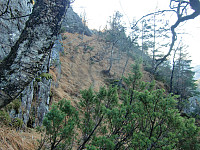 under bratthenget