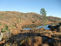 oppe på flaten ved vann 474