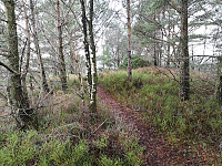 Nord for Medhaugsflaten 81