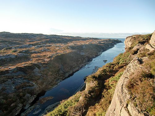 Grunnevågen