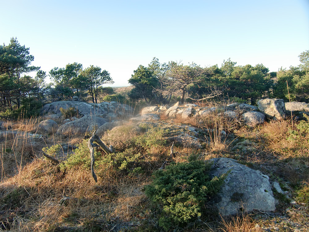toppen på Tverrfjellet