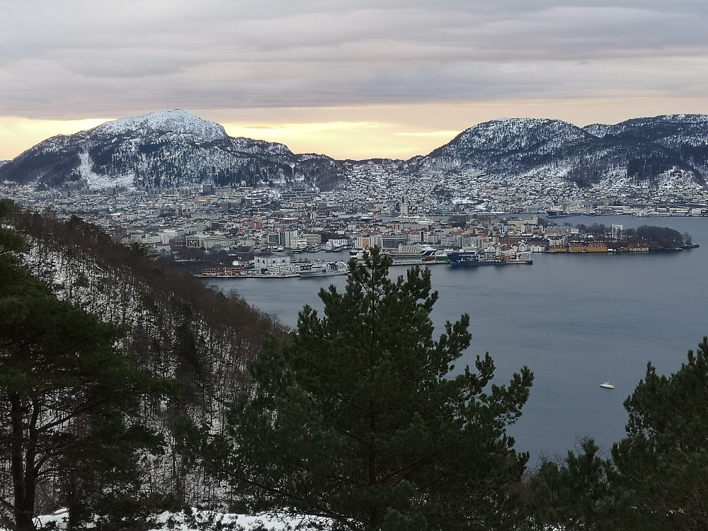 Bergen fra Håmanen
