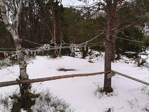 klatrepark på Pengehaugen