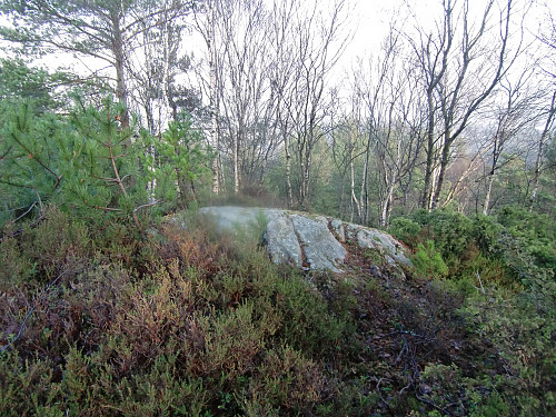toppen på Storhaugen