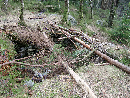 Ruin på Solhaugen