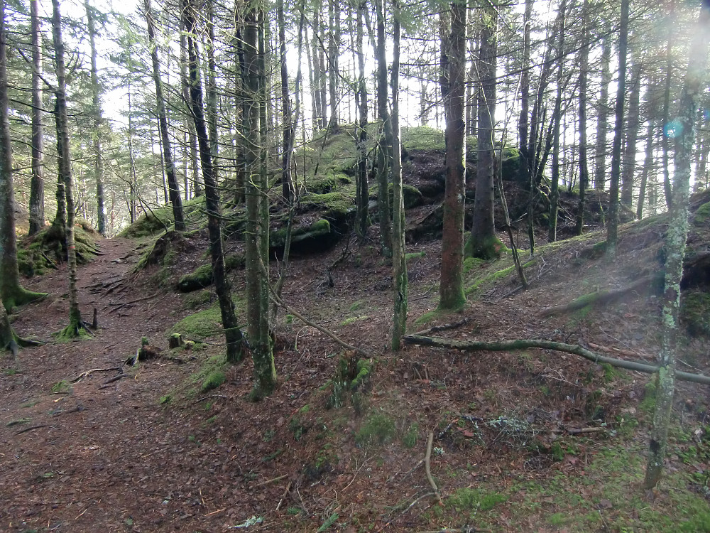 Hesteberget