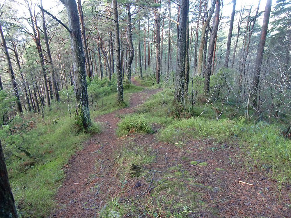 parti nedover Hesteberget