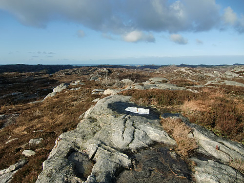 Smånipa