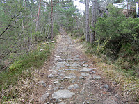 Grov vei til Hisdalsvatnet