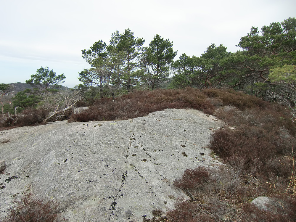 toppen på Austneset 