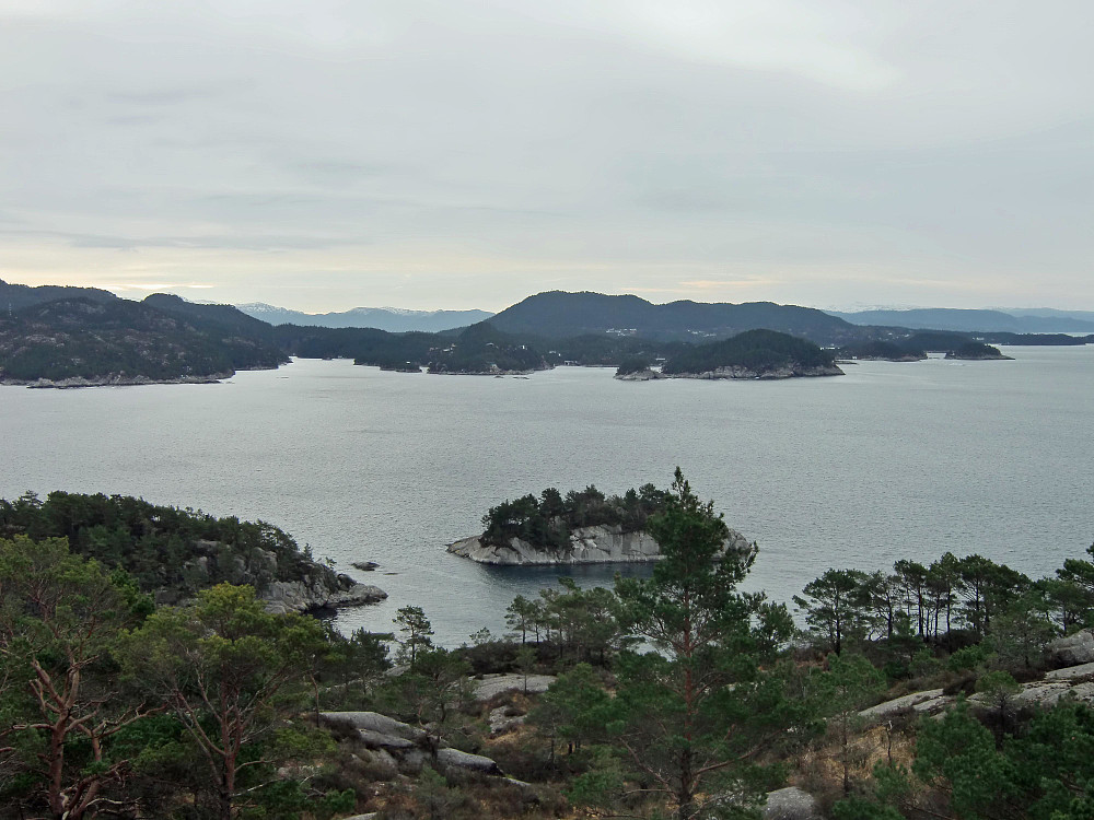 utsikt utover Lysefjorden fra Austneset