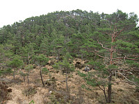 Ysta Ospevikfjellet