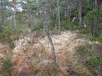 dukket opp 2 gamle stimerkinger