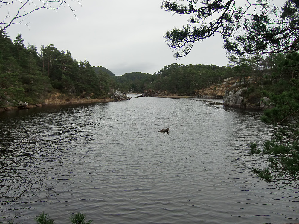 Hisdalsvatnet. 