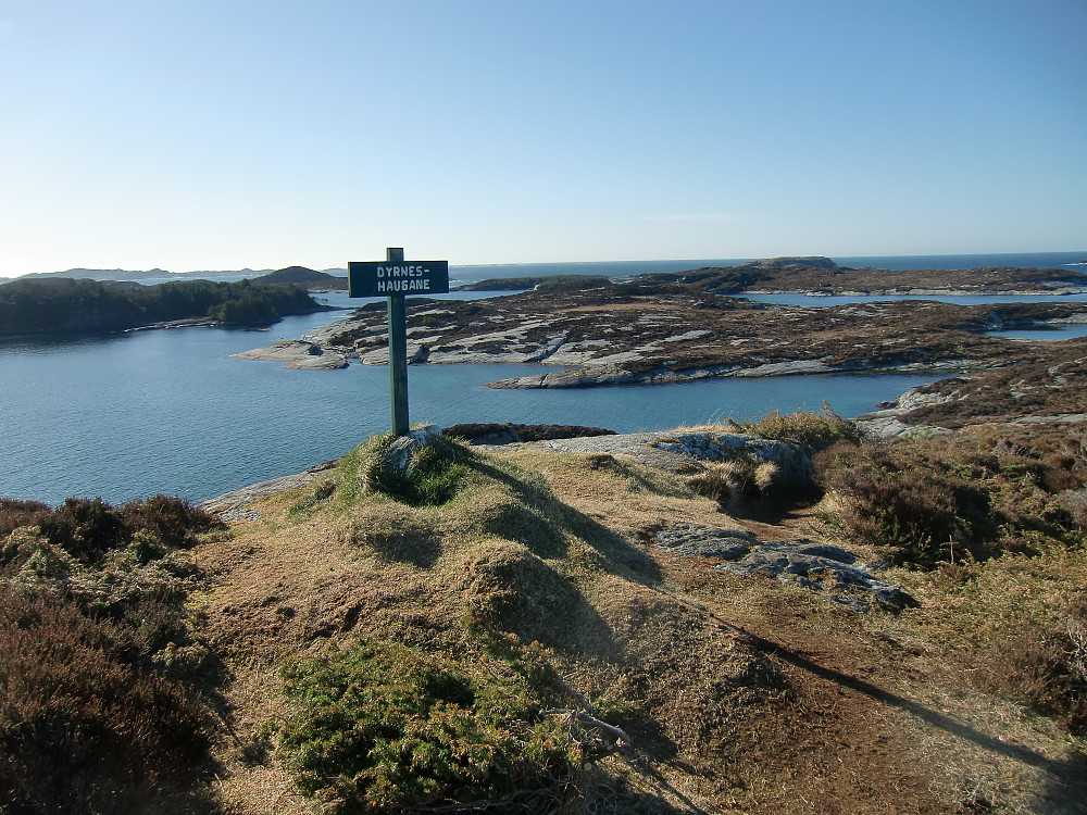 Dyrneshaugane 