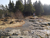 Halvkvila