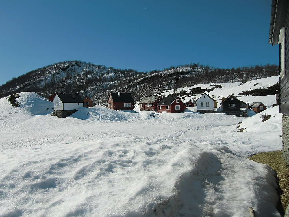 Holsete