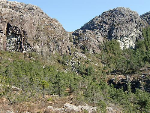 opp gjennom skaret