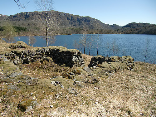 stølstuft nord for Ljosavatnet