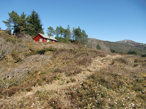 hytte / støl nord for Ljosavatnet