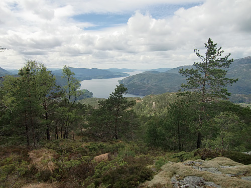 utsikt sydvestover mot Osterfjorden