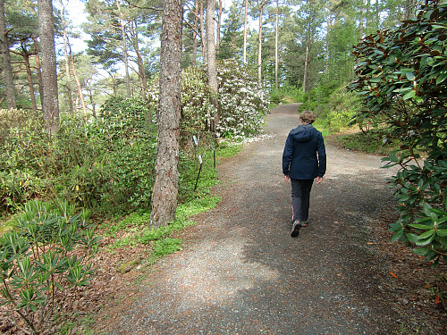 Nore Korsdalane på Arboretet