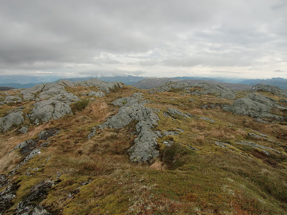 Ørnatuva med sine småknauser