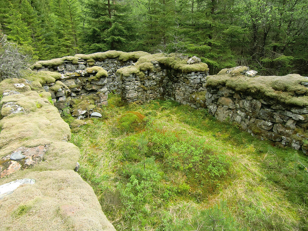 restene etter løen