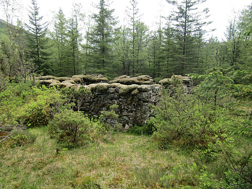 løetuft Kammen