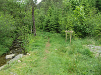 stistart