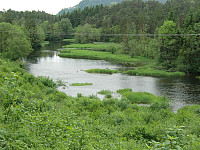 Oselven