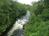 Oselven under Knutabruo