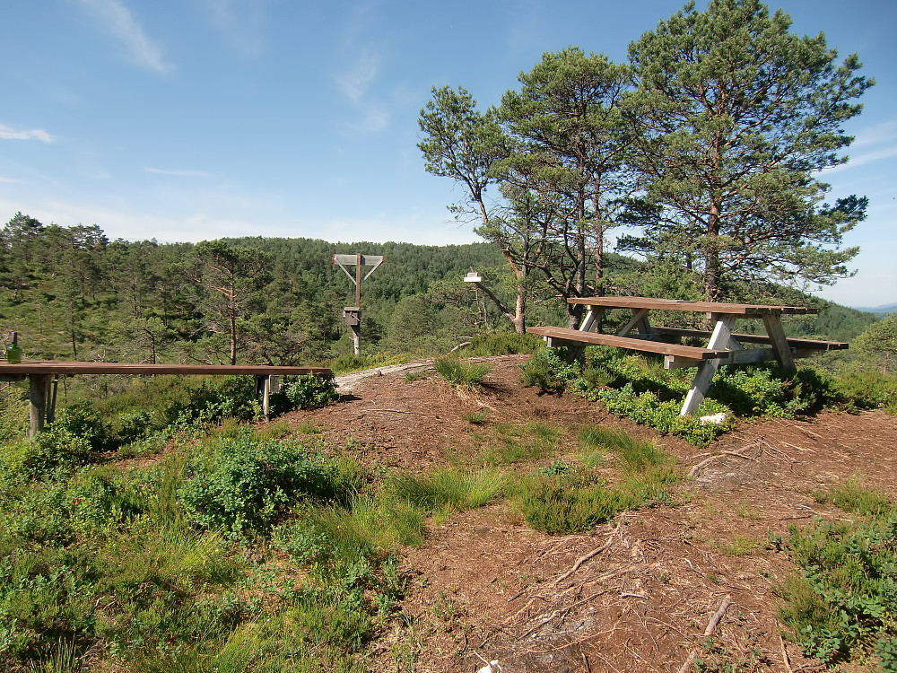 Raudvinstoppen