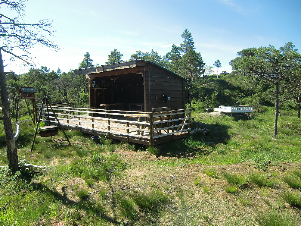 Rastebu med Raudvinstoppen i bakgrunnen. 