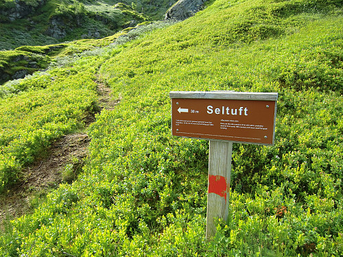 skilt til gammel seltuft