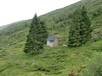 hytte 2