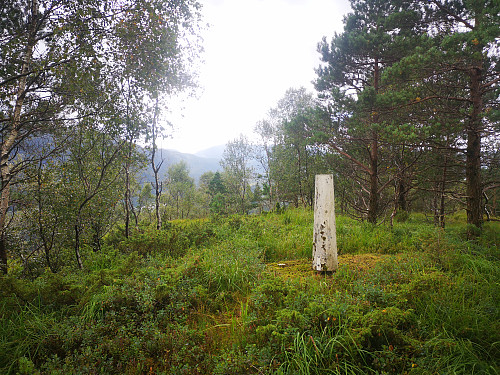 Søylen på Stemmedalshaugane