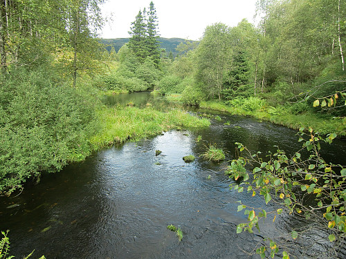 Frotveitelva