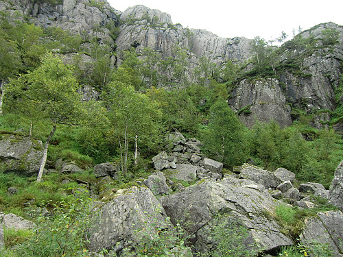 nede i øvre Olsbotnen, tilbakeblikk mot traseen jeg kom ned.