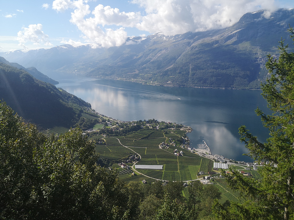 Lofthus og Sørfjorden fra Hovden