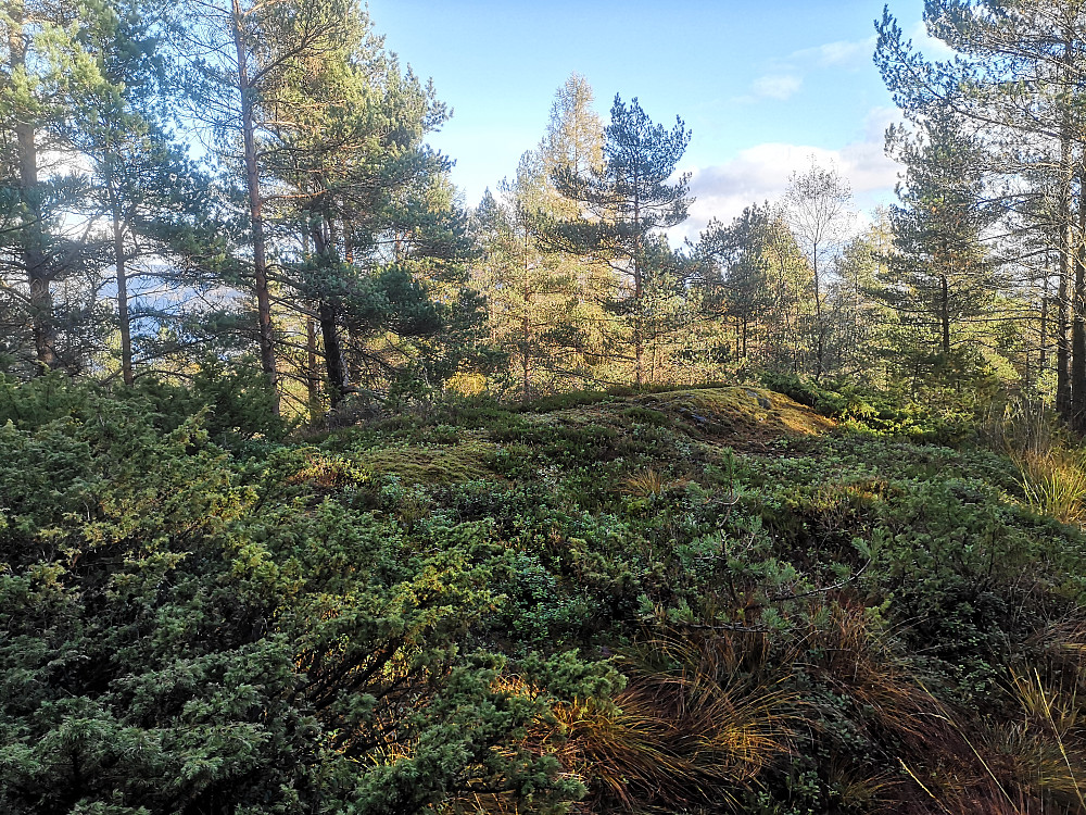 høyeste punktet på Mykinåsen
