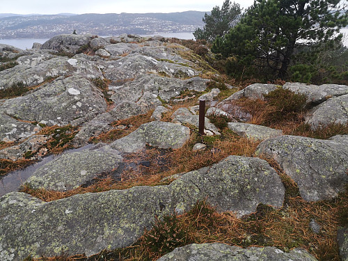 Bolt 2 i fjell til mitraljøse                                      