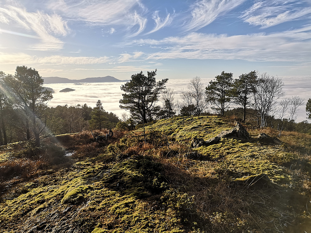 toppen på Senafjellet med utsikt på Bjørnafjorden 