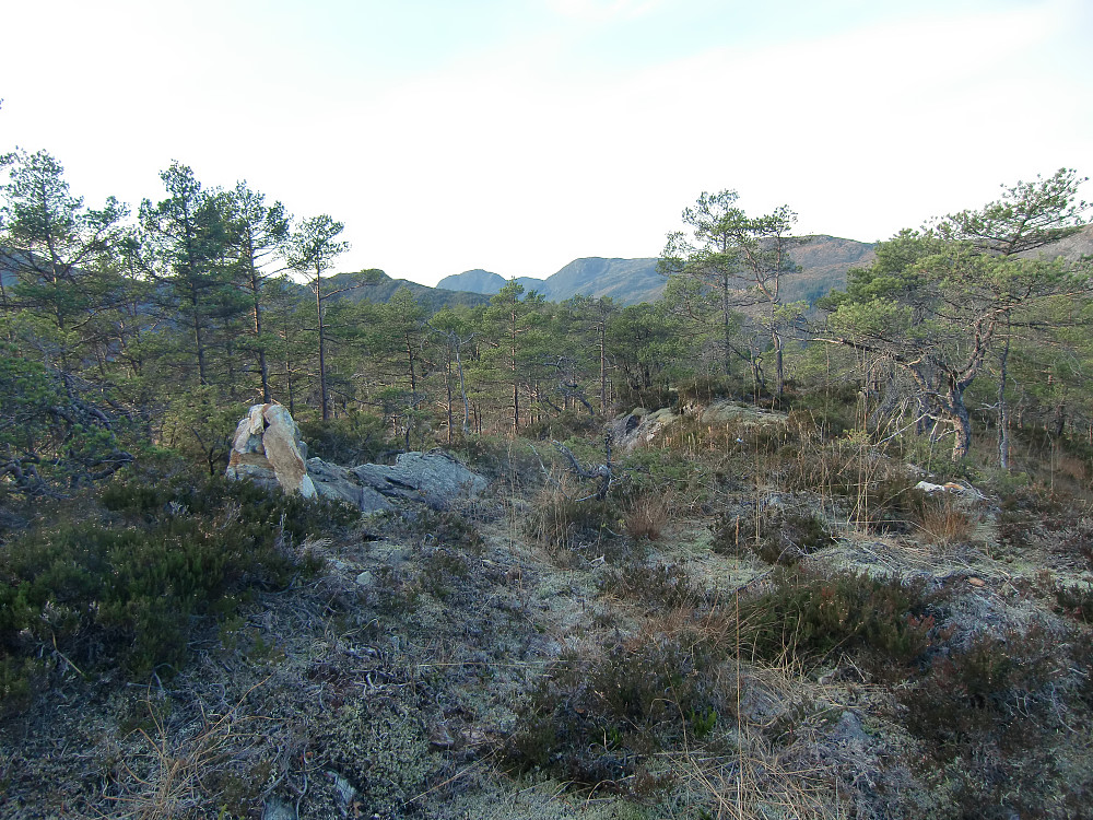 Kjerringefjellet 387 med begrenset utsikt