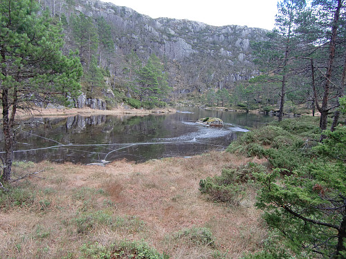 Kupetjørna