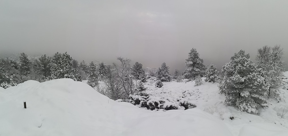 fra Ørneberget mot Bergen sentrum i snøvær
