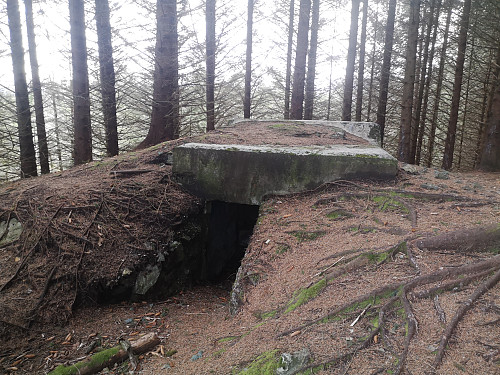 bunkeren på Orrhaugane