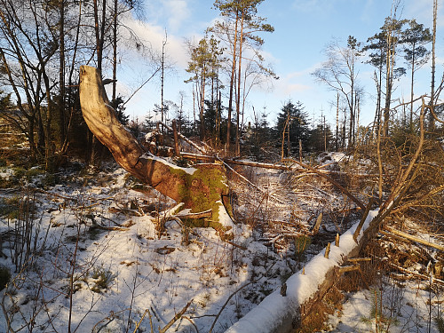 søylen eller en stubbe oppe i horisonten. 