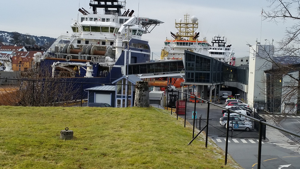 Bergenhus søyle